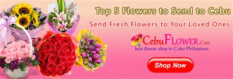 send flowers to cebu city philippines|Send Flowers to Cebu.